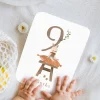 CARTES ÉTAPES COTTON BIRD (version anglaise)