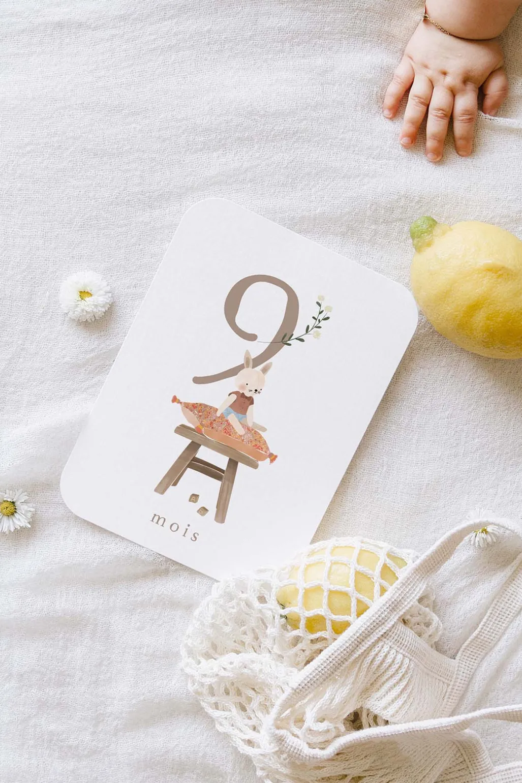 CARTES ÉTAPES COTTON BIRD (version française)