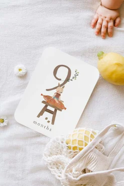 CARTES ÉTAPES COTTON BIRD (version anglaise)